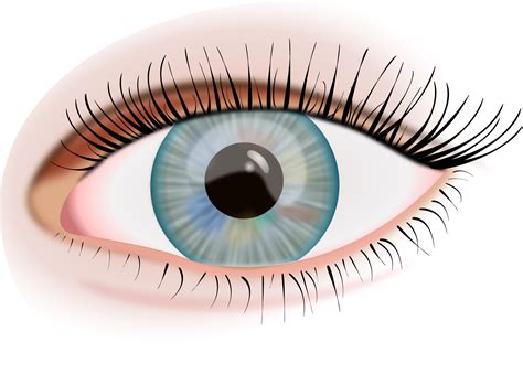 Eye Png Images .